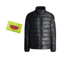 Distrokid - 5th Anniversary Kit Women